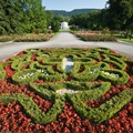Květinová výzdoba v největším rakouském rozáriu v Badenu